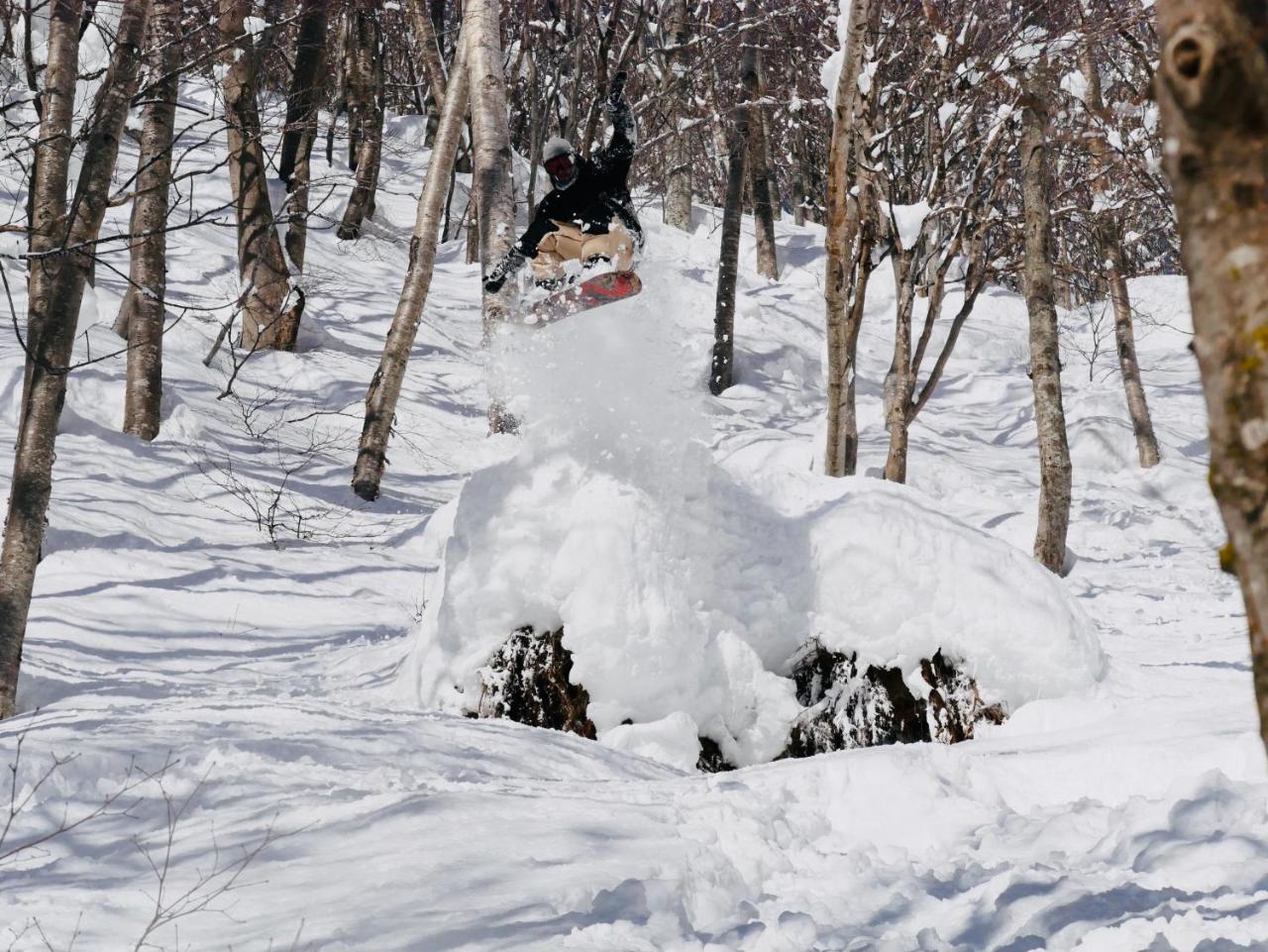Madarao Mountain Lodge 이야마 외부 사진